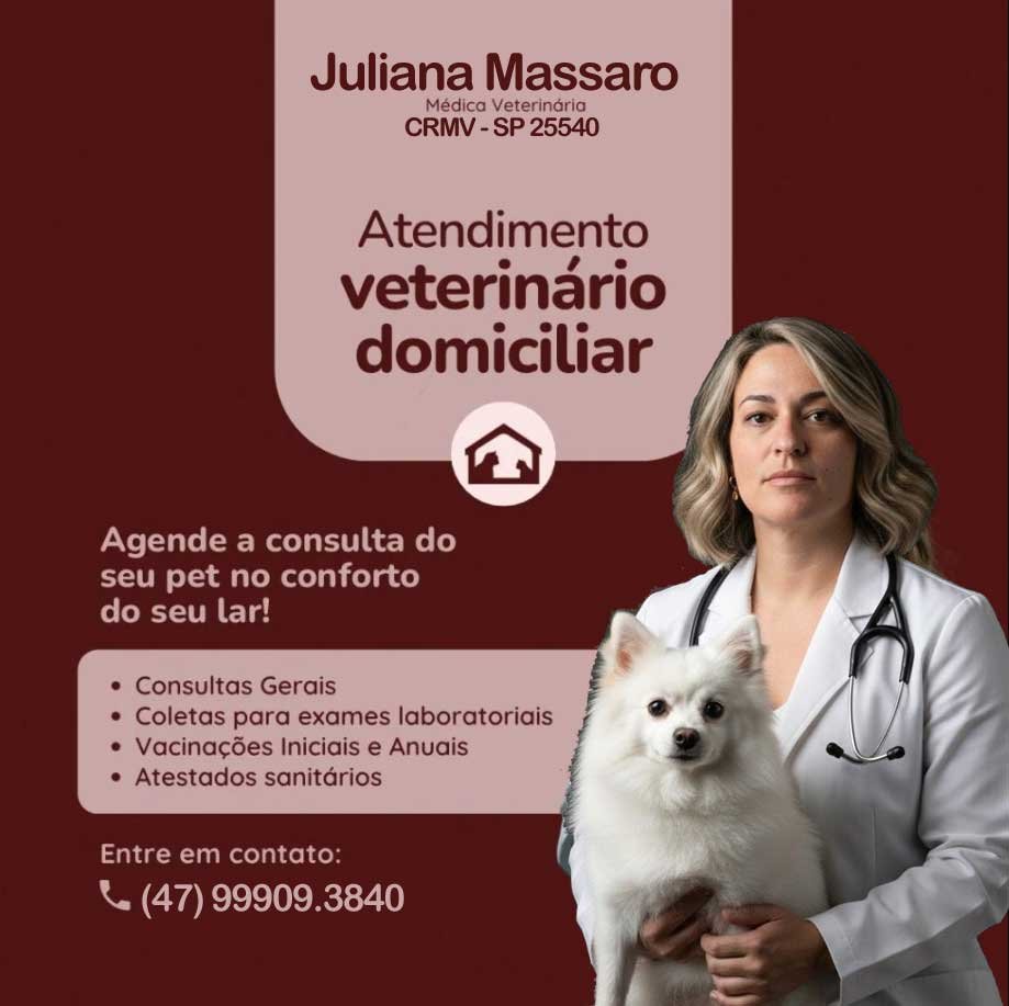 Veterinario em Camboriu Veterinario em Camboriu